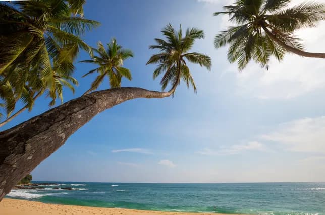 Golden Beaches Escape